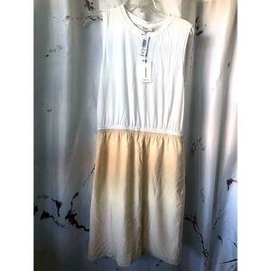 Babaton Silk Dress - Never Worn. Tags on.